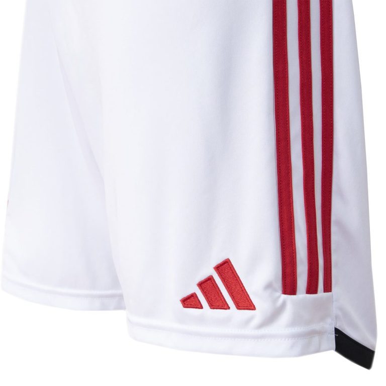 Men Football Jersey Short Sleeves SE Palmeiras Home 2023/24 Fan Version - Best Soccer Jersey - 4
